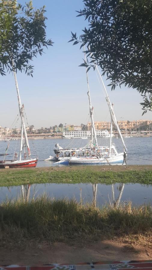Villa Victoria Old Nile View 樂蜀 外观 照片